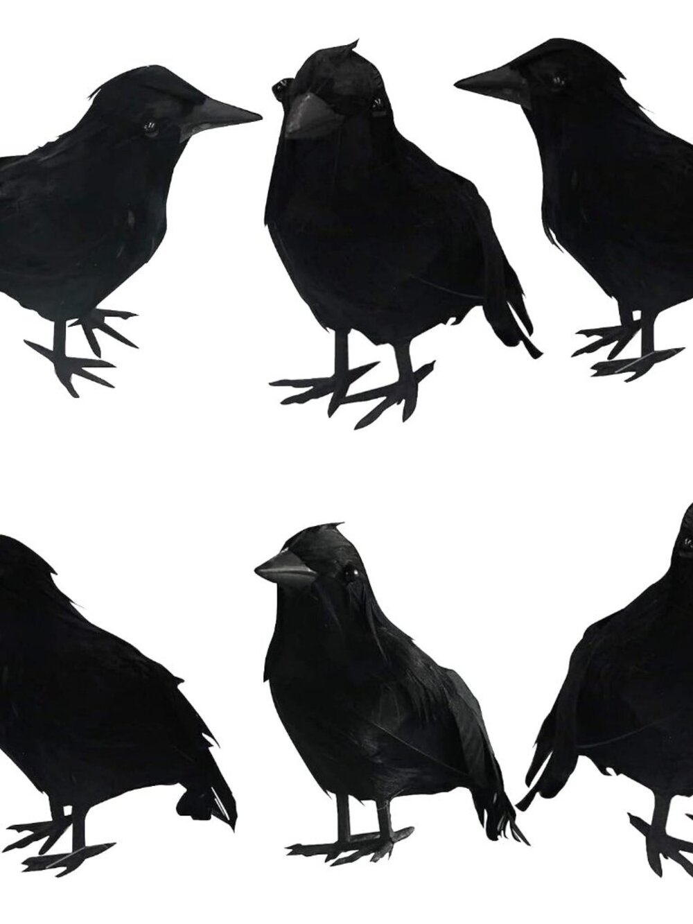6Pack Halloween Black Feathered Crows Decor, Holiday Decoration for Indoor Outdo